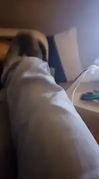 Snapshot of InMeinenMund chatting on 01-13-25, 02:39 InMeinenMund online show from 01-13-25, 02:39