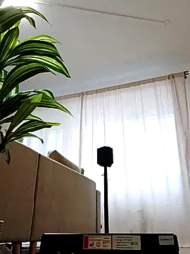 Snapshot of mister-dwt chatting on 02-26-25, 06:47 mister-dwt online show from 02-26-25, 06:47