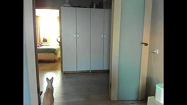 Snapshot of sweeetgirls2021 chatting on 12-12-24, 02:04 sweeetgirls2021 online show from 12-12-24, 02:04