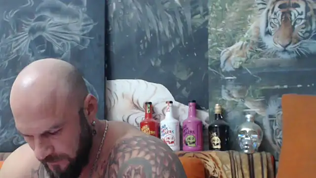 viking 30 online show from 10-06-25, 06:27