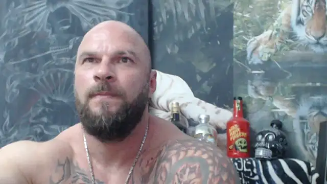 viking 30 online show from 06-06-26, 05:50