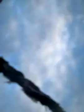 Model9798 online show from 10-22-25, 02:28