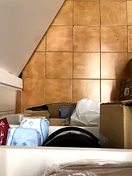 Mindnorthcam2 online show from 11-17-25, 07:36