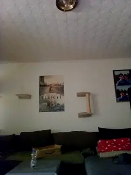 Codymc89 online show from 06-30-26, 02:18