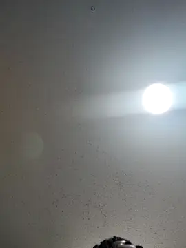 Snapshot of 6lue6a6y69 chatting on 12-22-24, 01:12 6lue6a6y69 online show from 12-22-24, 01:12