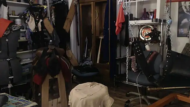 Snapshot of Transjoni chatting on 03-22-25, 11:00 Transjoni online show from 03-22-25, 11:00