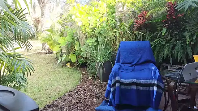 Snapshot of eliberator1777 chatting on 12-10-24, 03:44 eliberator1777 online show from 12-10-24, 03:44