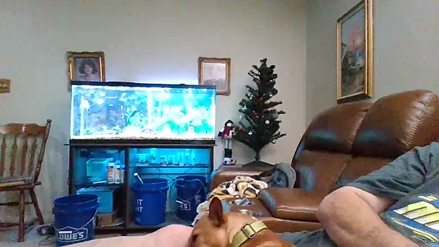 Snapshot of 1964peterbilt1 chatting on 12-30-24, 01:48 1964peterbilt1 online show from 12-30-24, 01:48