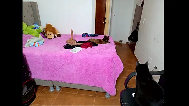 emily honter online show from 12-14-25, 08:46