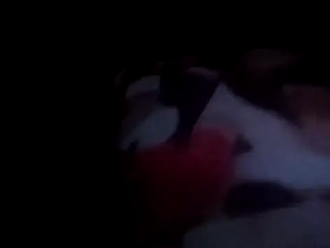 Snapshot of PrinceNoAlbert chatting on 12-15-24, 01:02 PrinceNoAlbert online show from 12-15-24, 01:02