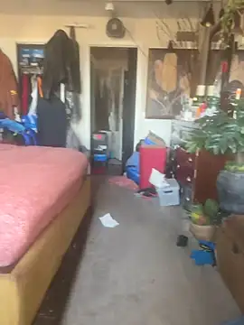 Snapshot of PrinceNoAlbert chatting on 03-13-26, 10:16 PrinceNoAlbert online show from 03-13-26, 10:16