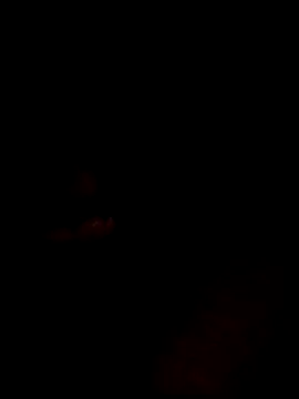 websterribeiro online show from 03-11-26, 03:45