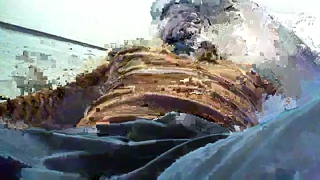 Snapshot of Billywax chatting on 01-08-26, 09:11 Billywax online show from 01-08-26, 09:11