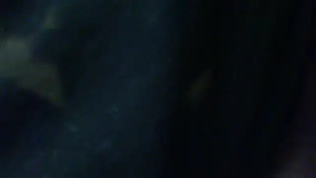 Snapshot of Billywax chatting on 02-02-26, 09:30 Billywax online show from 02-02-26, 09:30