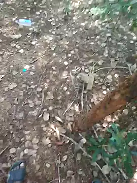 rameshmry1 online show from 02-21-26, 08:59