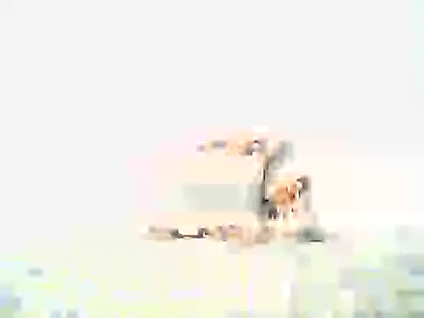 mellow smoke online show from 04-10-26, 08:02