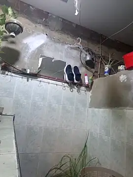 Bas2428 online show from 04-26-26, 11:35