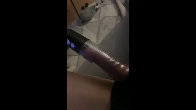 petuletra online show from 03-08-26, 09:29