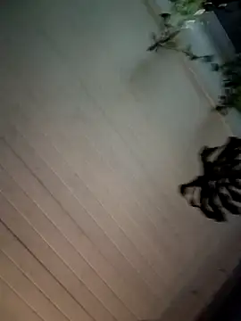 Nikkierosee online show from 12-14-24, 10:56