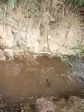 Snapshot of FinableKnee chatting on 10-23-25, 03:50 FinableKnee online show from 10-23-25, 03:50