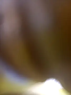 Snapshot of FinableKnee chatting on 01-06-26, 10:08 FinableKnee online show from 01-06-26, 10:08