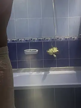 Snapshot of Arabien_Pharaoh- chatting on 03-20-25, 05:58 Arabien Pharaoh- online show from 03-20-25, 05:58