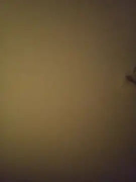 SMOKERBEASTBR online show from 02-08-26, 06:17