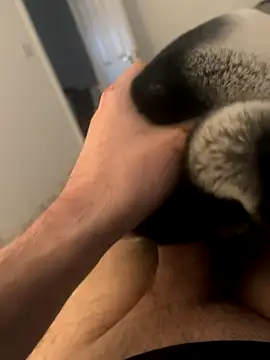 Furdale online show from 12-03-24, 03:00