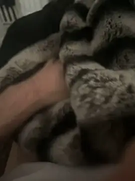 Furdale online show from 12-17-24, 12:43