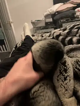 Furdale online show from 02-11-25, 06:11