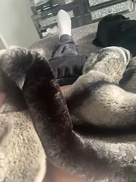 Furdale online show from 02-22-25, 01:24