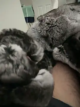 Furdale online show from 09-24-25, 02:20