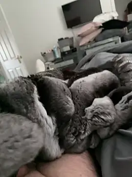 Furdale online show from 10-30-25, 02:18