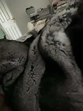 Furdale online show from 02-14-26, 02:58