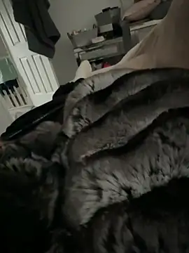 Furdale online show from 03-09-26, 03:16