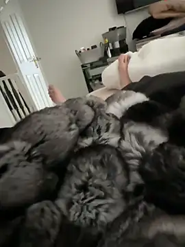 Furdale online show from 03-15-26, 12:44