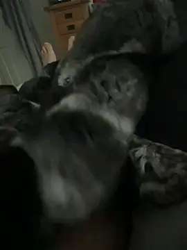 Furdale online show from 04-01-26, 11:44