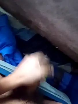 rodovlaz online show from 04-01-26, 11:00