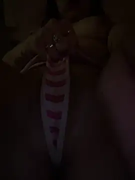 sluttyjasmine12 online show from 03-12-26, 06:52