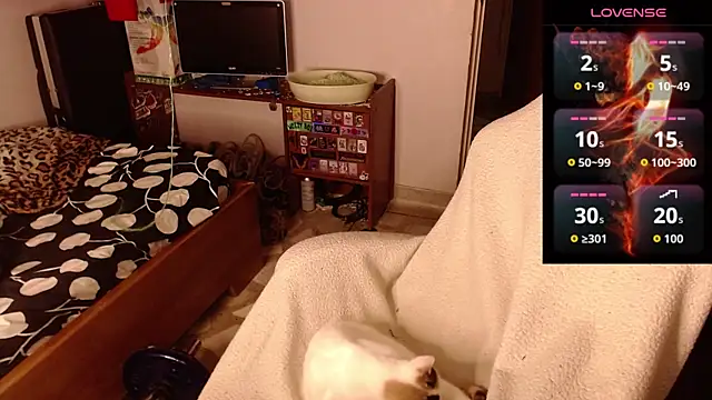 Apolo S online show from 02-14-26, 08:33