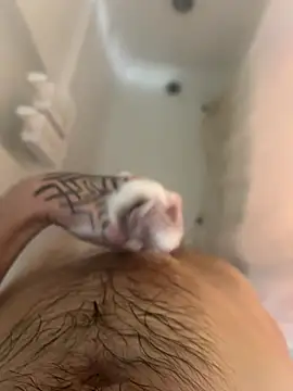 Snapshot of ThatTattooedGuy chatting on 12-01-25, 08:52 ThatTattooedGuy online show from 12-01-25, 08:52