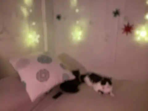 Im sophiie online show from 12-19-24, 08:45