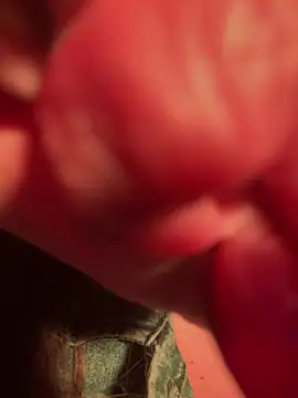 Im sophiie online show from 02-13-25, 05:58