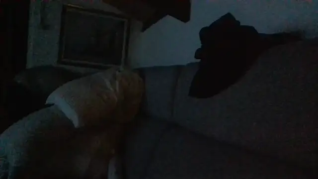 davigochi77bcn online show from 02-20-26, 10:21