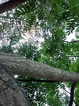 Keli Jessi online show from 09-14-25, 01:21