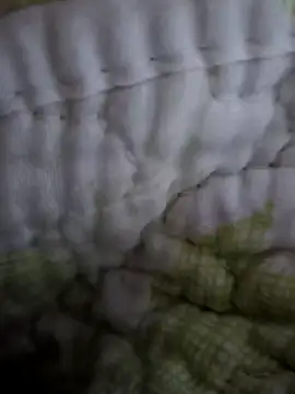 sutgibihatun online show from 10-31-25, 07:59