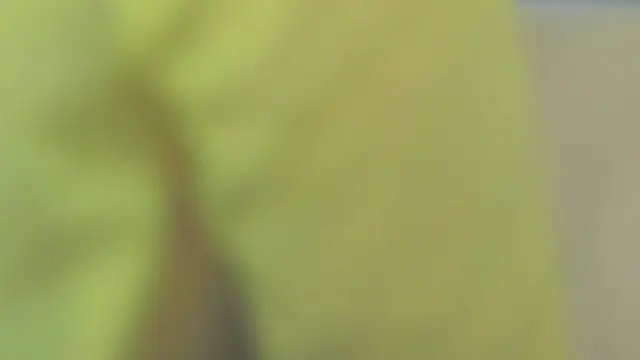 sinteas online show from 06-09-26, 10:27