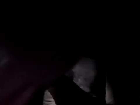 SpeedMagnumBlade6669 online show from 09-22-25, 08:16