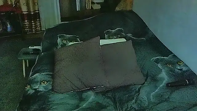 Snapshot of sex2 chatting on 11-10-25, 11:26 sex2 online show from 11-10-25, 11:26