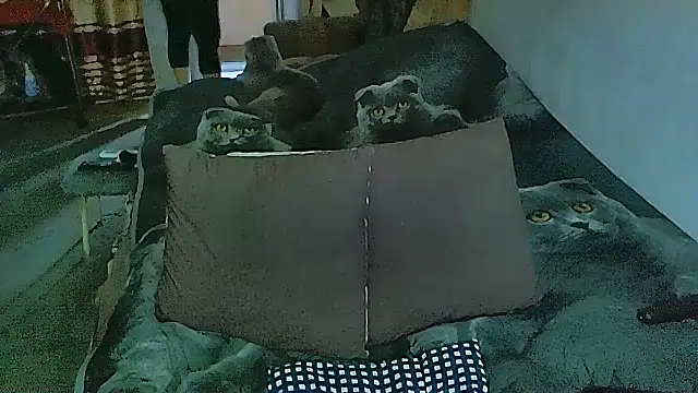 Snapshot of sex2 chatting on 11-14-25, 02:10 sex2 online show from 11-14-25, 02:10